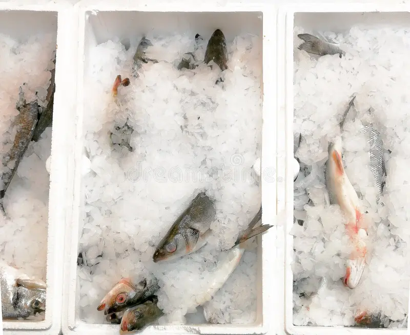  Sea ​​bass fillet 80-120g frozen packet - (1kg)