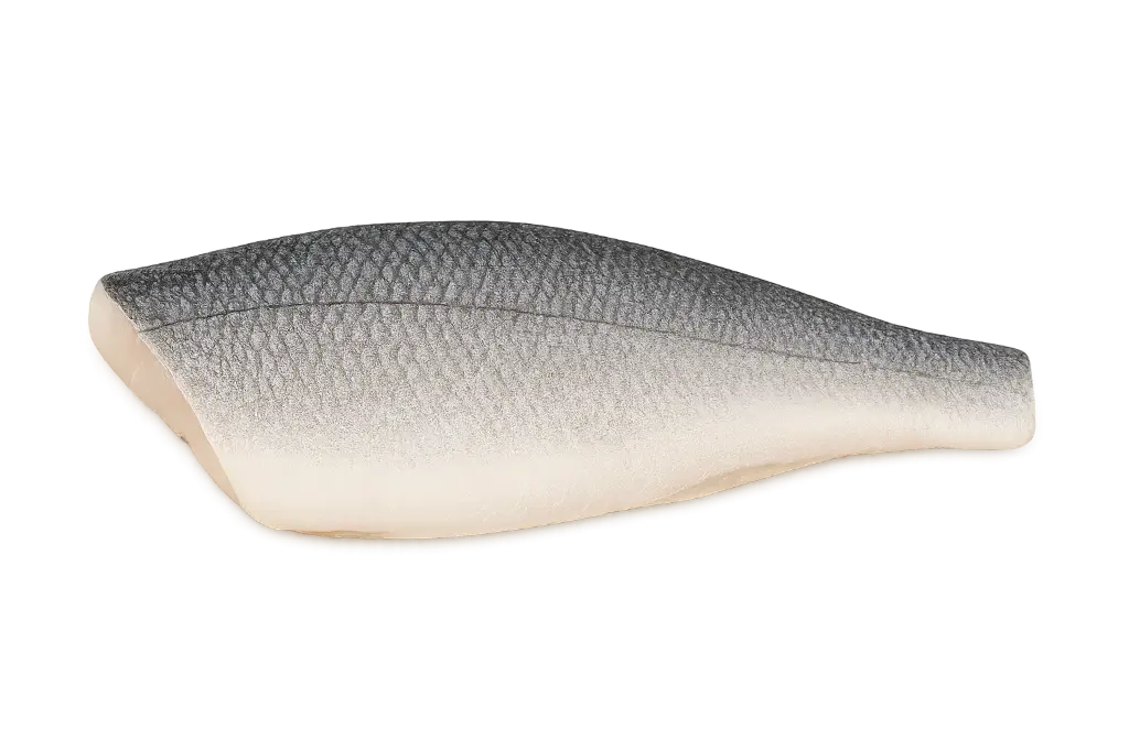 Verse zeebaarsfilet 6/8 brut