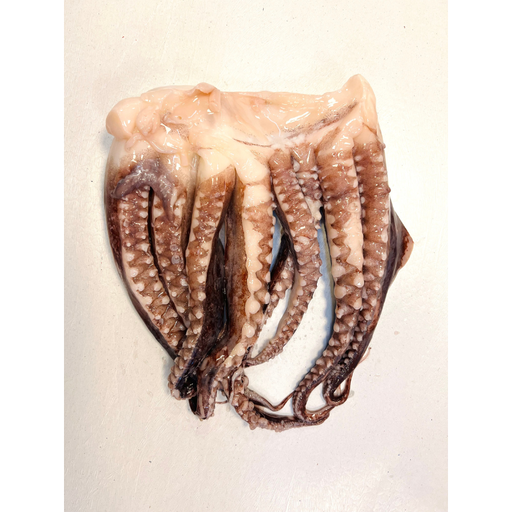 Gekookt tentakels diepvries (1kg)