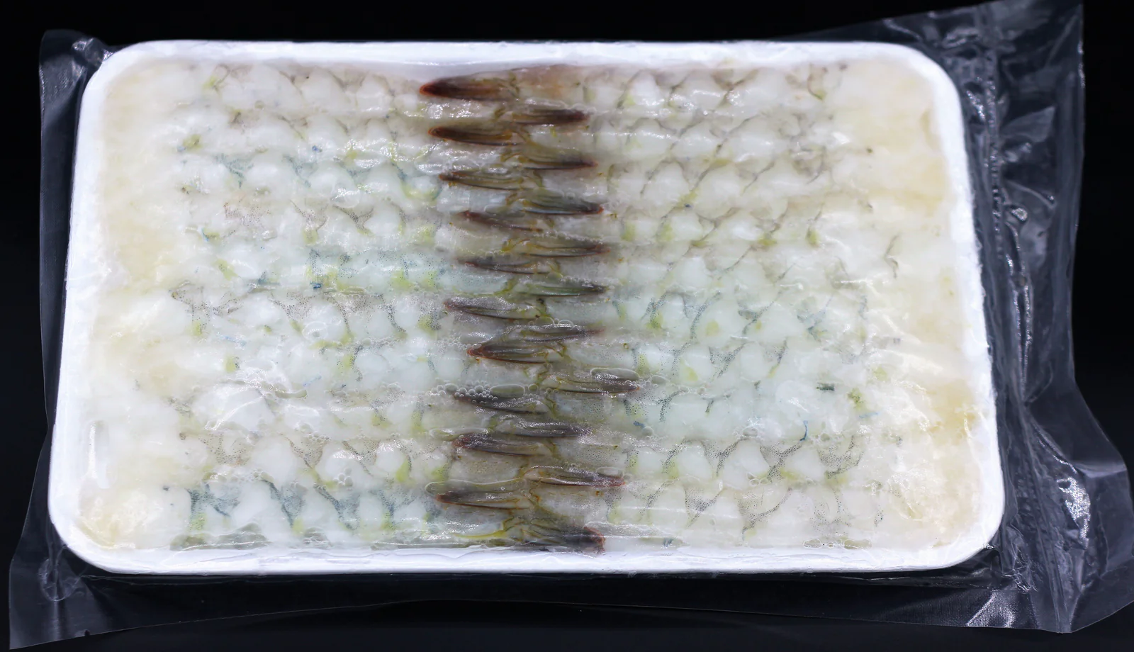 Nobashi 13/15 - tray