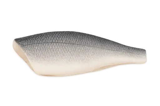 [Dicentrarchus labrax filet 6/8] Verse zeebaarsfilet 6/8 brut